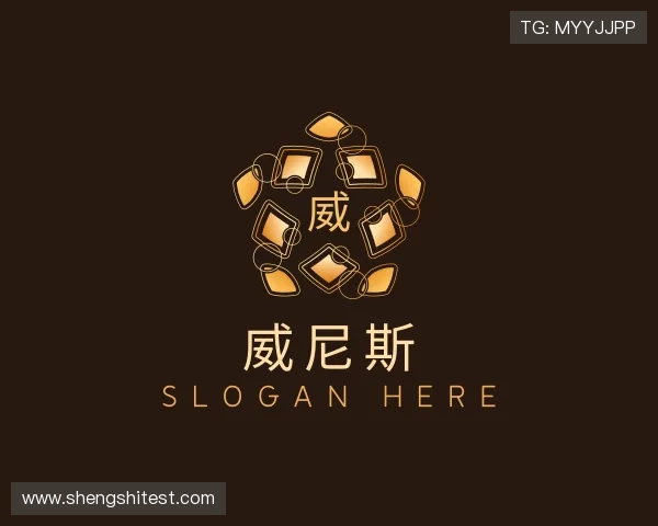 认识wnsr威尼斯网页下载
